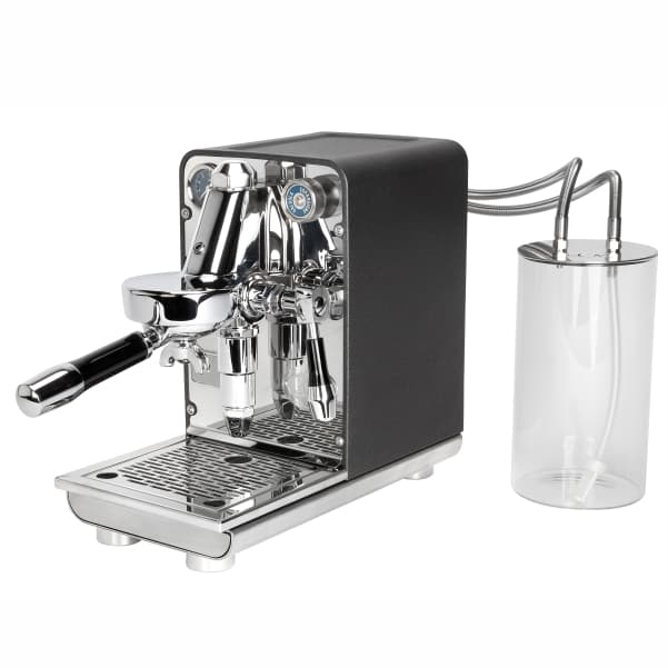 ECM PURISTIKA
