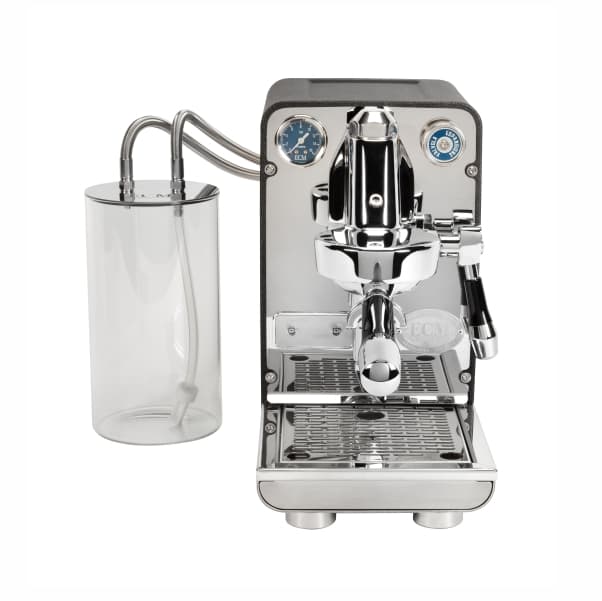 ECM PURISTIKA